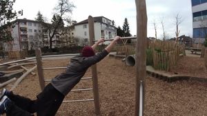 Schwingen